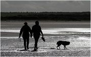 TONY HOWES - WALKING THE DOG